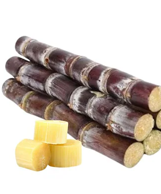 Sugarcane(small) 3 Piece set	